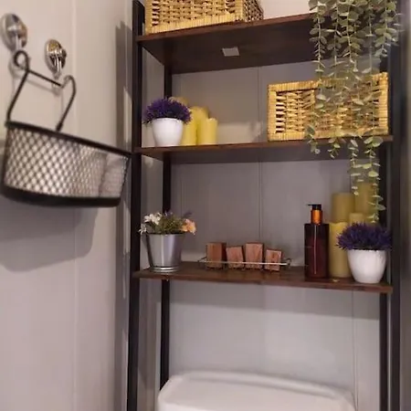 Charming Pheonix Parkside Flat