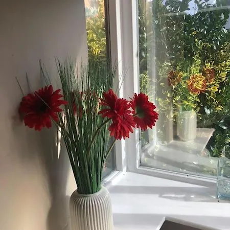 Charming Pheonix Parkside Flat Apartmán Dublin