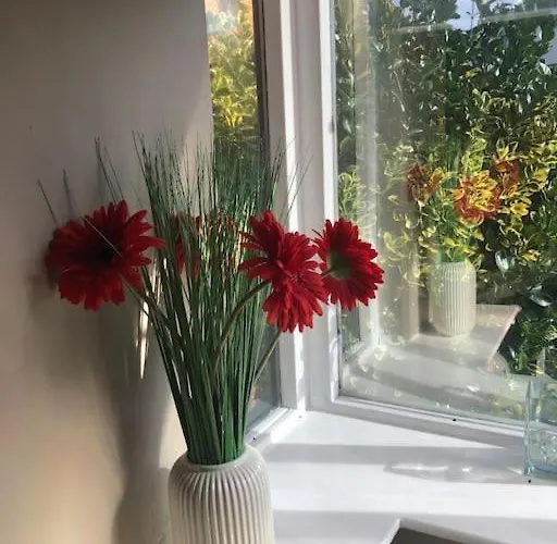 Charming Pheonix Parkside Flat Appartement Dublin